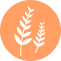 Alimento contiene gluten